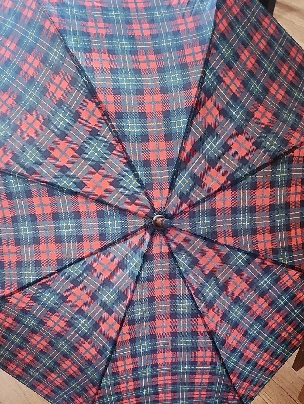 Red and Navy Plaid Umbrella